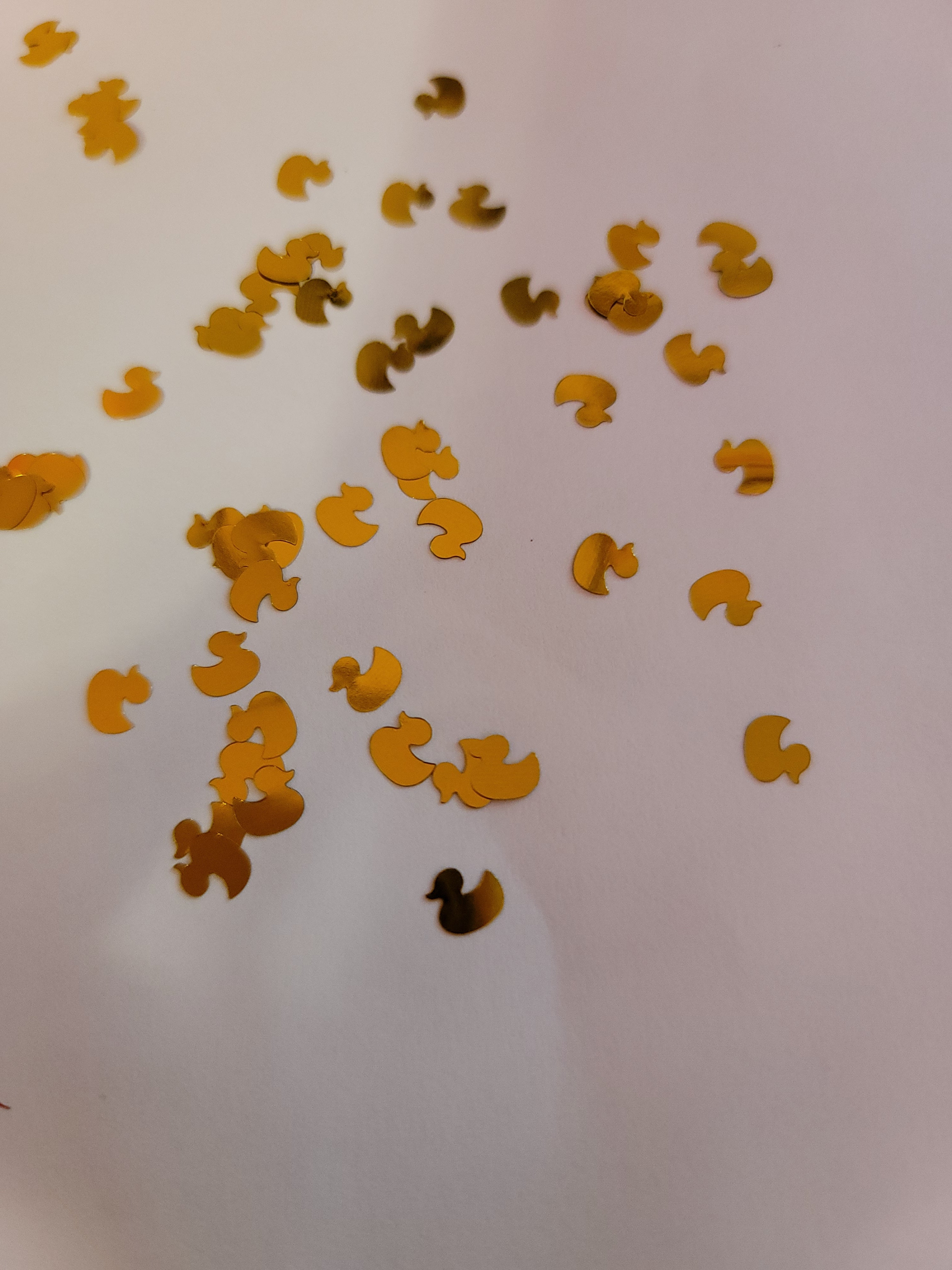 Shape Glitter- Ducks