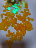 Pineapple shape glitter