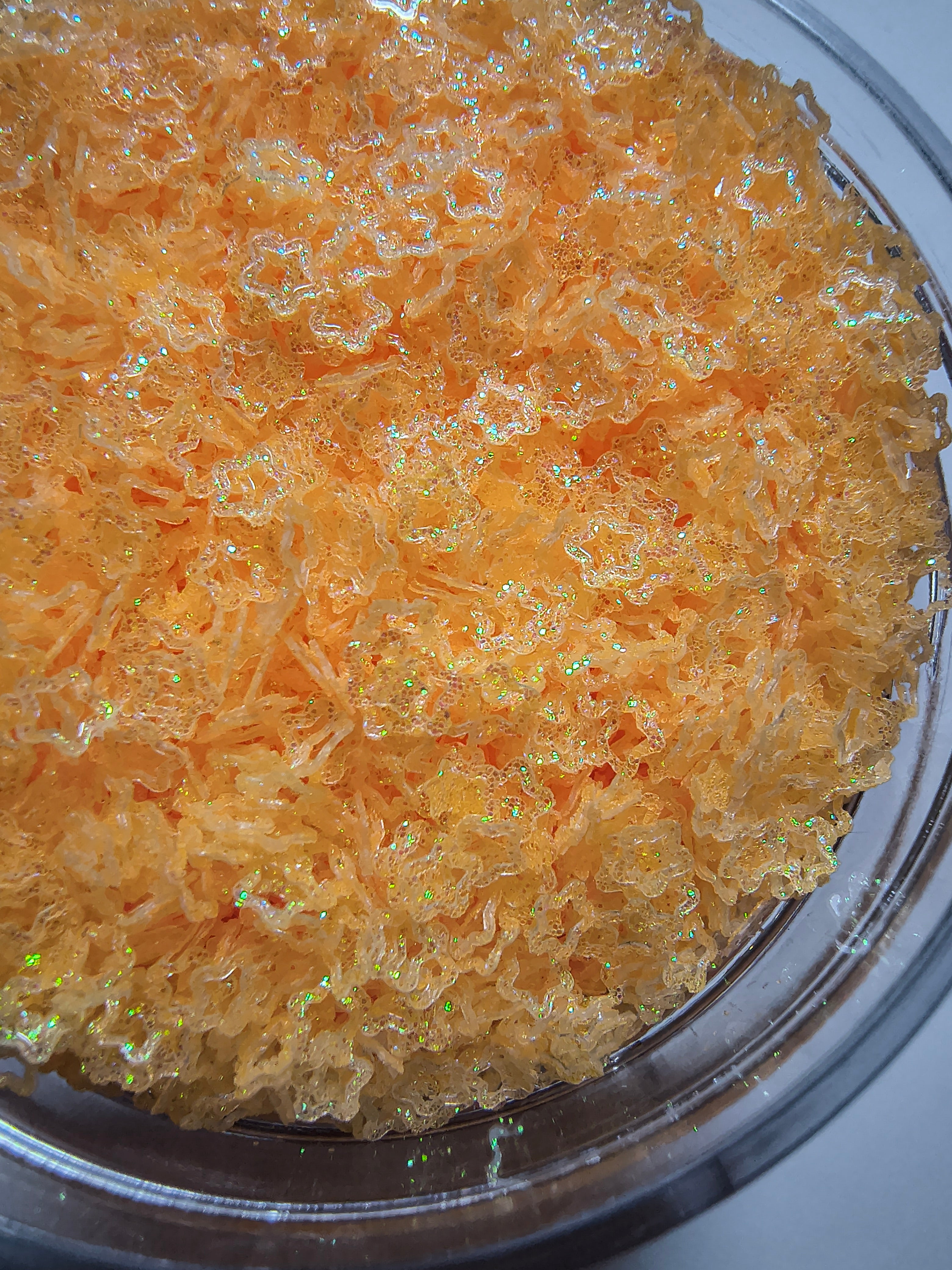 Orange Star