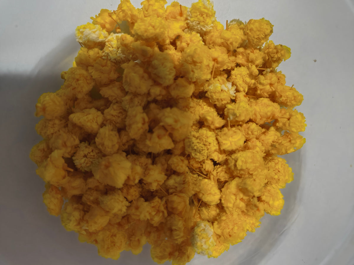 Yellow flower buds