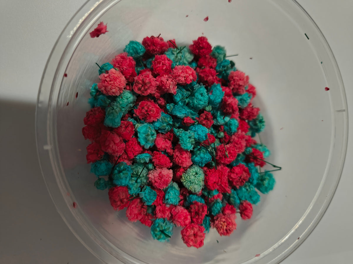 Red & Teal flower buds