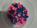 Blue & Pink Flower buds