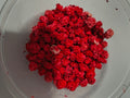 Red flower buds