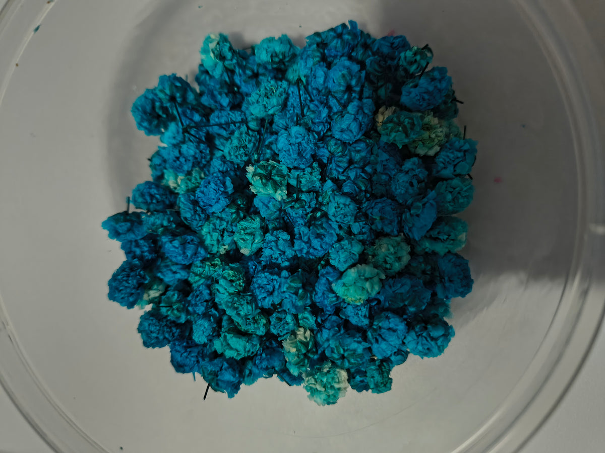 Teal flower buds