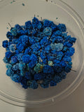 Blue flower buds