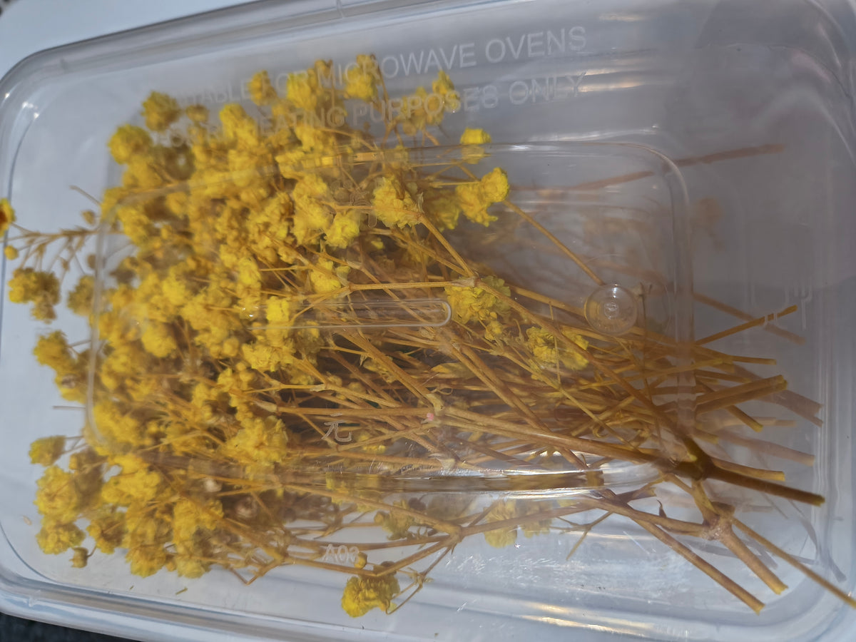 Flowers for tumblers