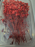 Flowers for tumblers