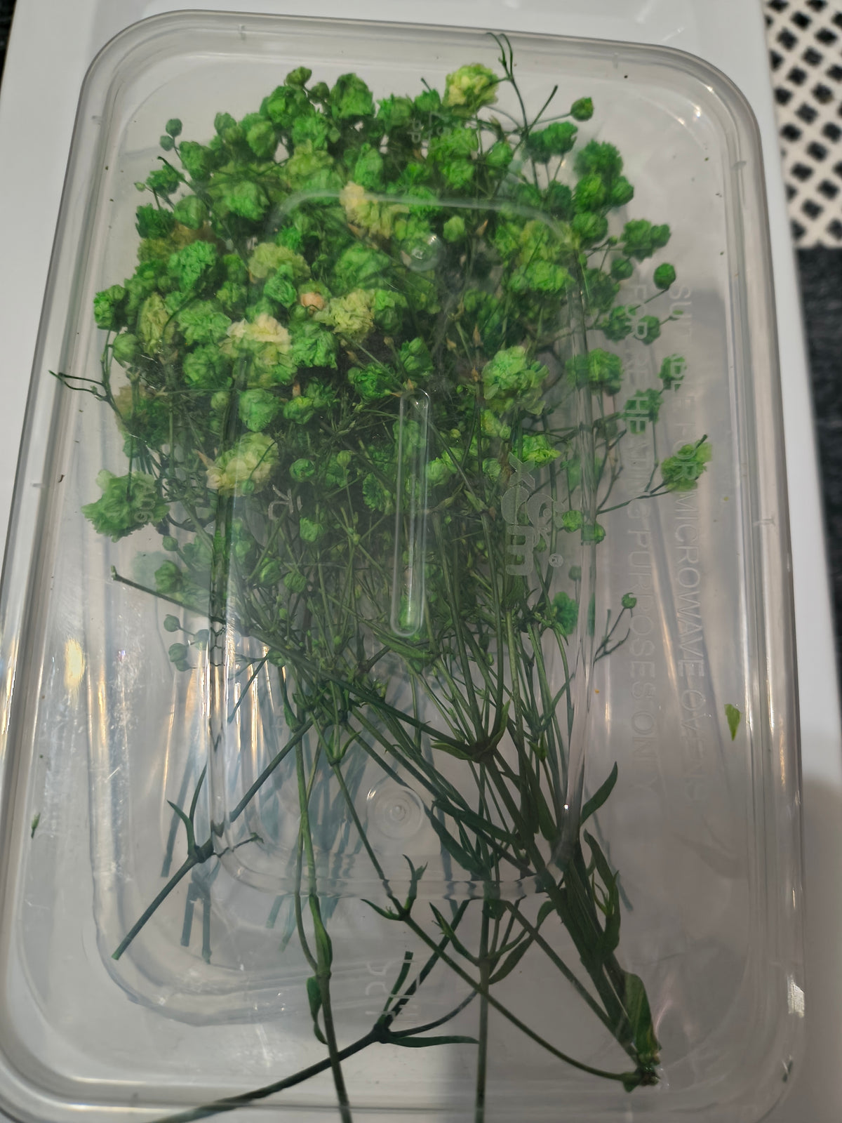 Flowers for tumblers